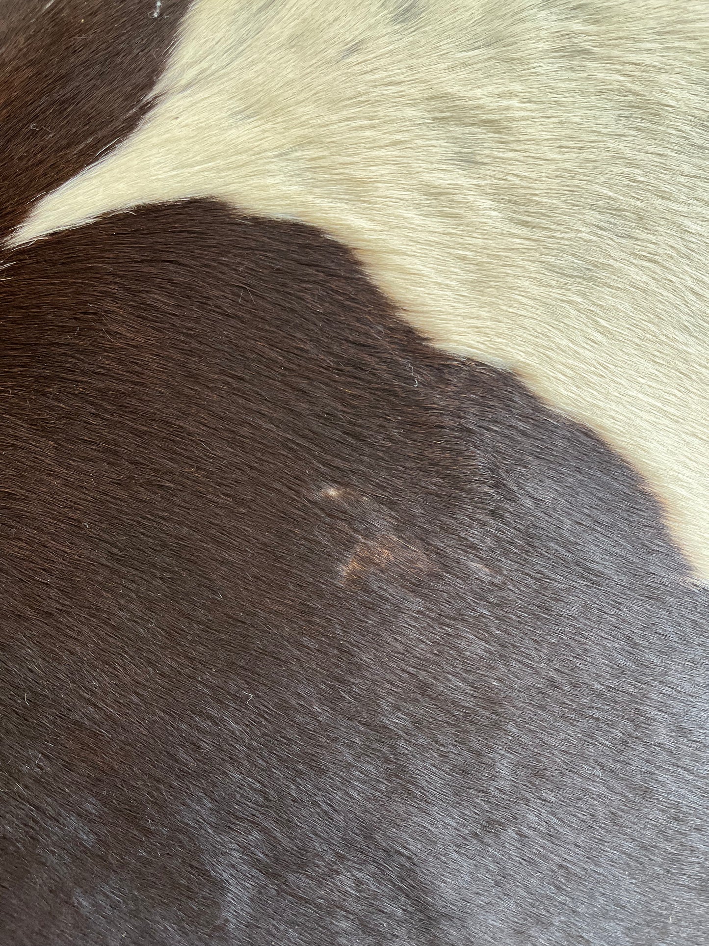 Beautiful Cowhide Rug