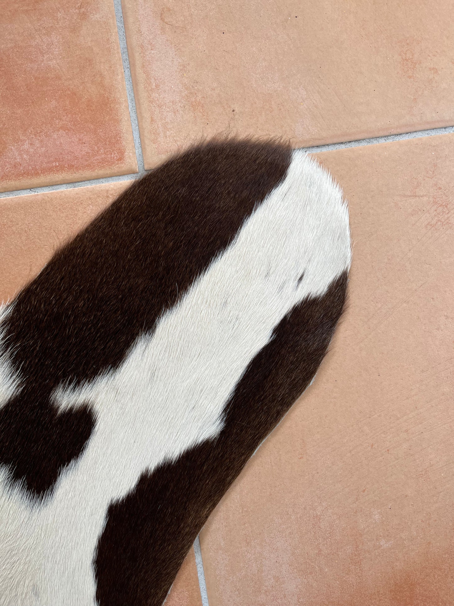 Beautiful Cowhide Rug