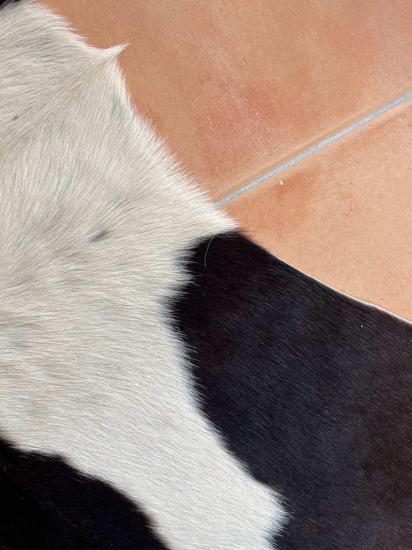Beautiful Cowhide Rug