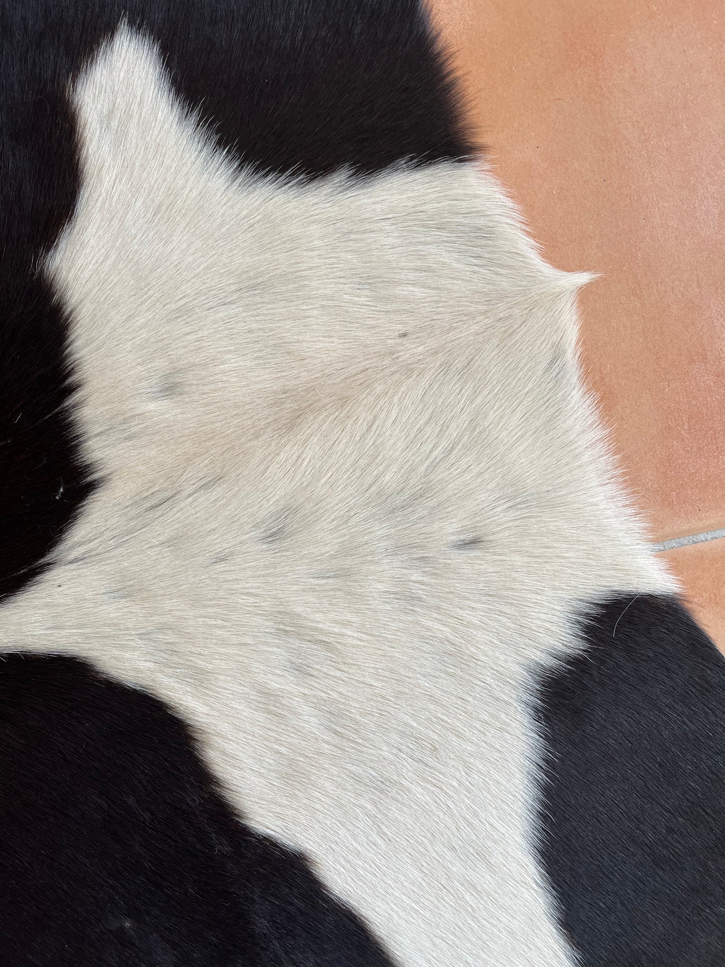 Beautiful Cowhide Rug