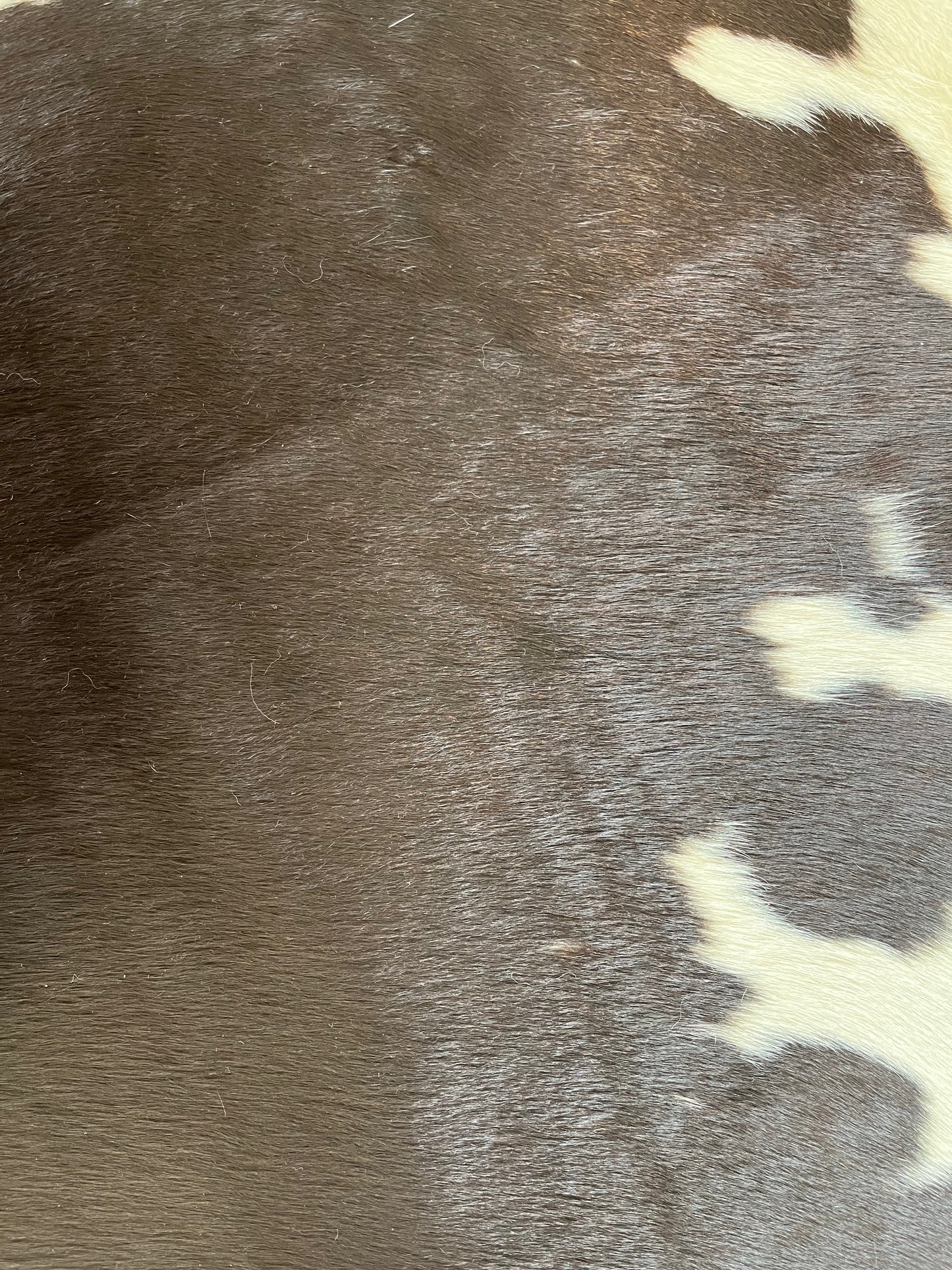 Beautiful Cowhide Rug