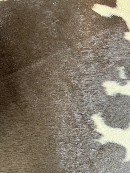 Beautiful Cowhide Rug