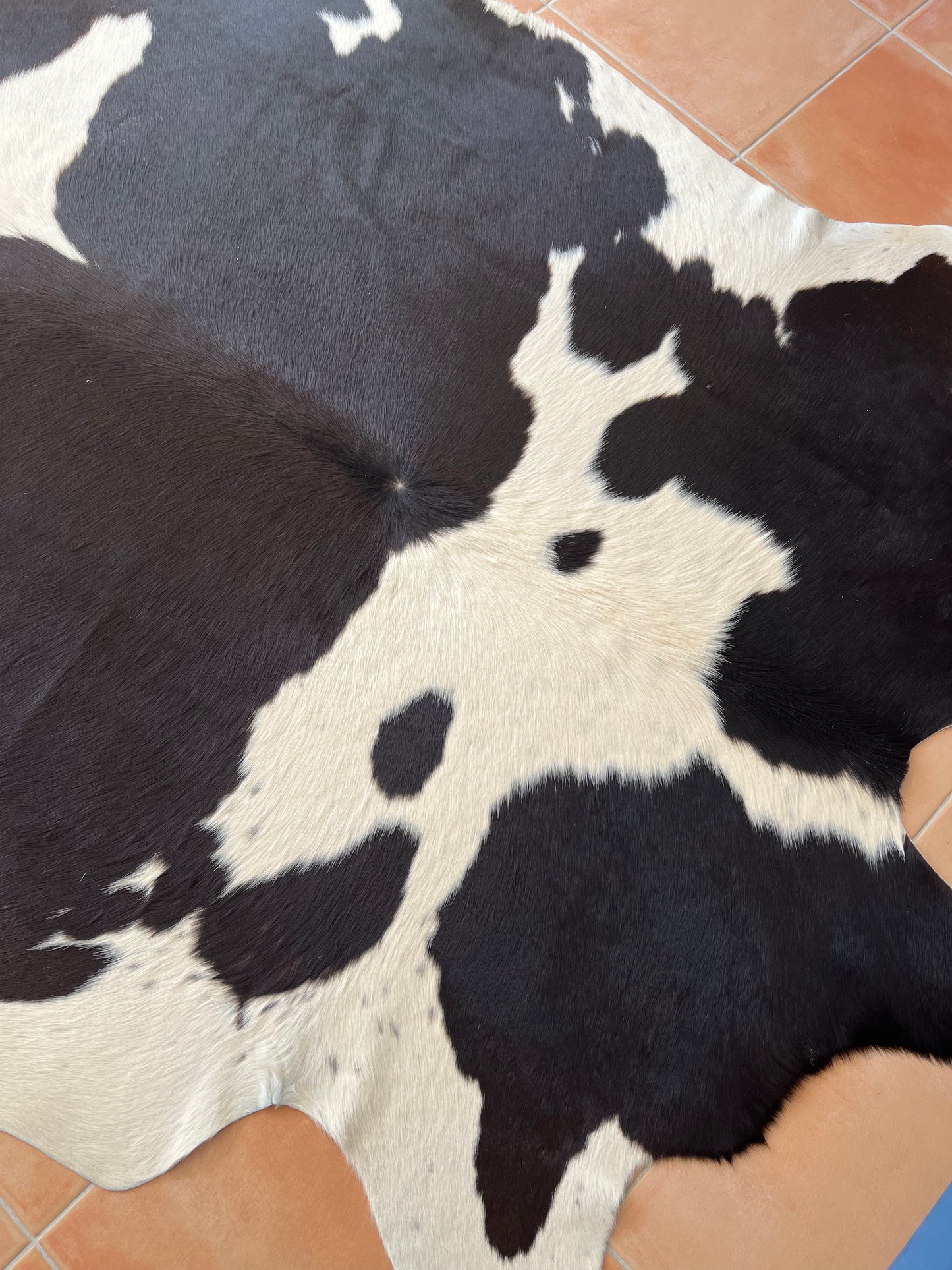 Beautiful Cowhide Rug