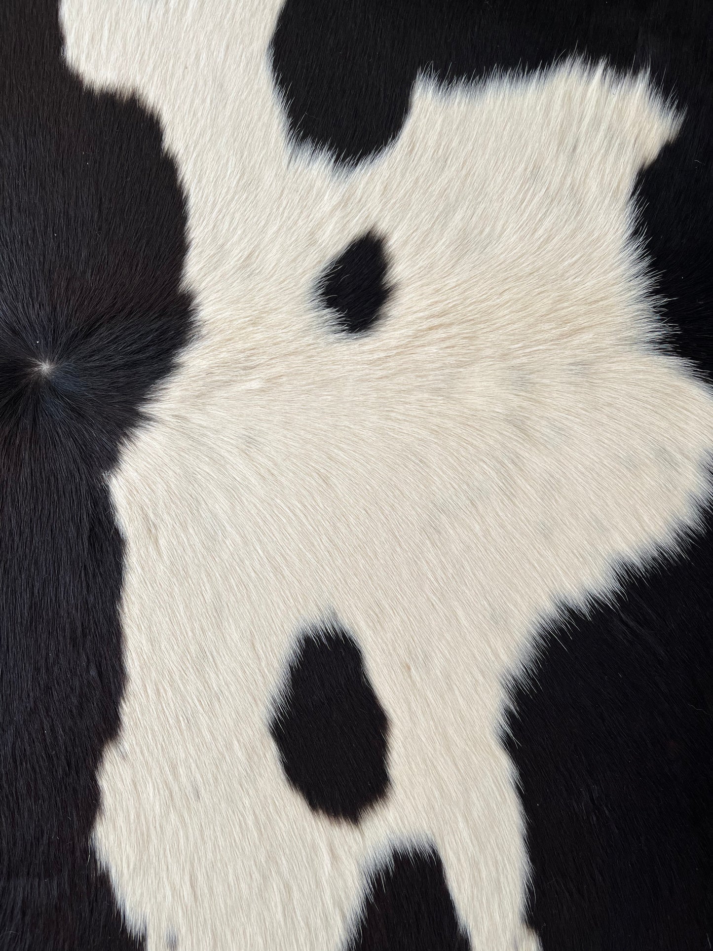 Beautiful Cowhide Rug
