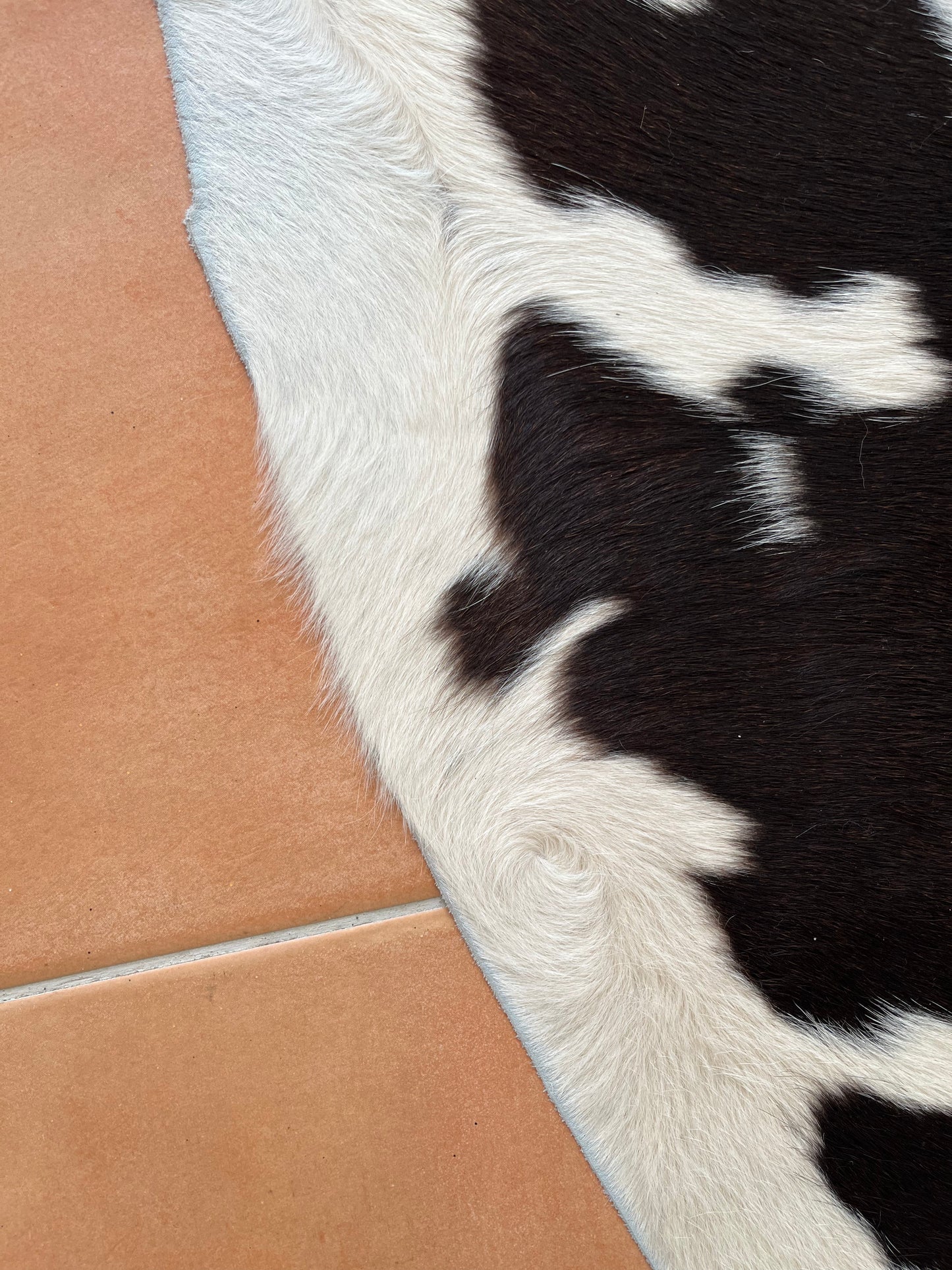 Beautiful Cowhide Rug
