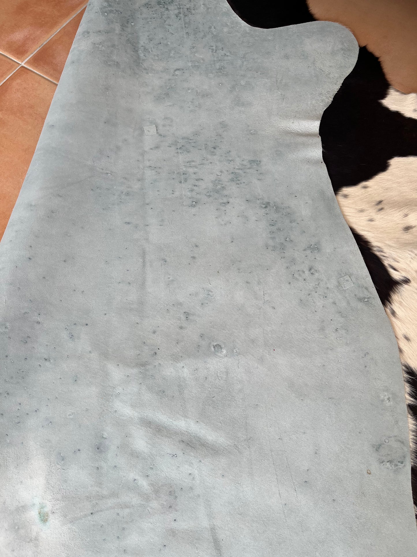 Beautiful Cowhide Rug