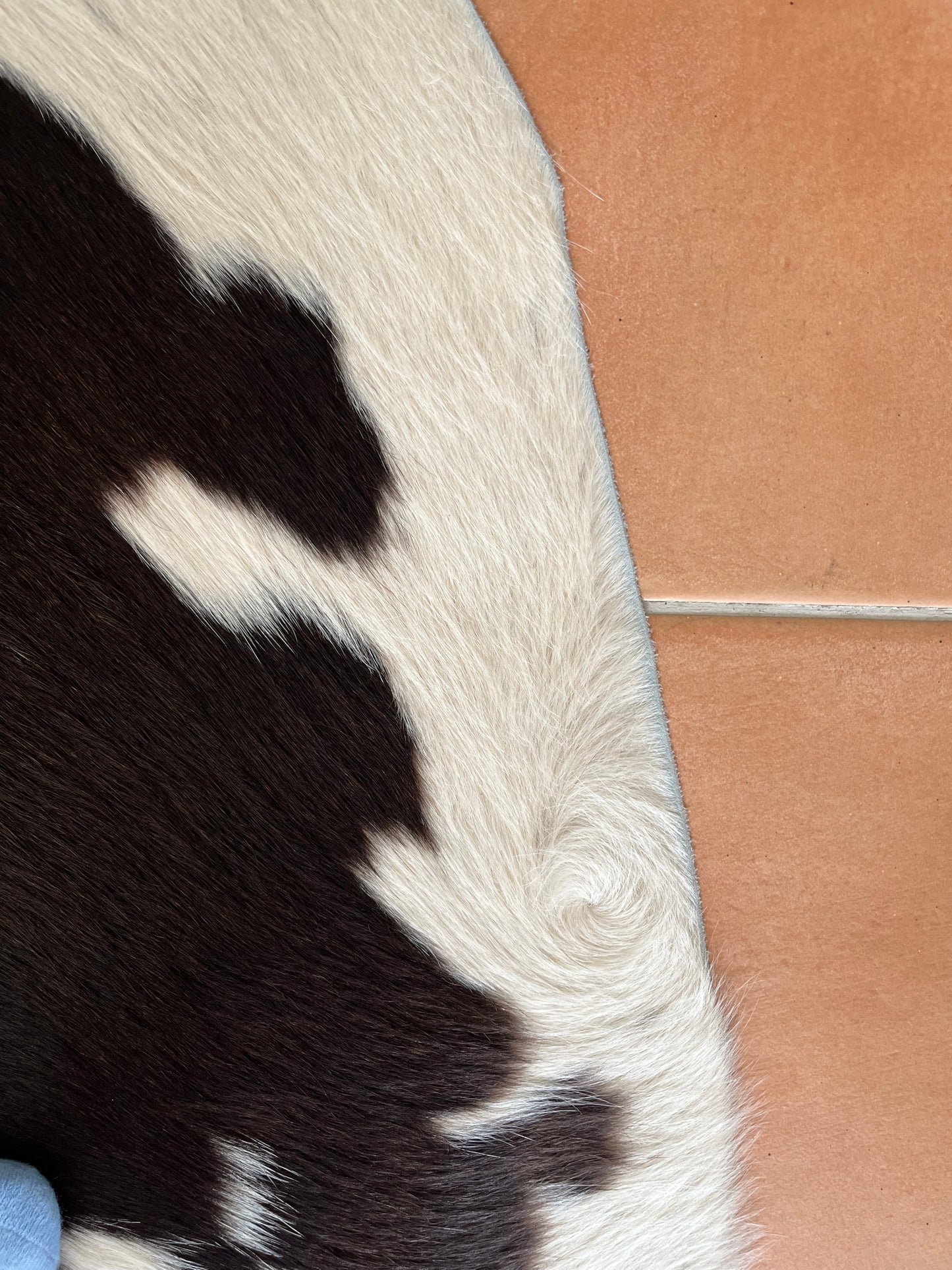 Beautiful Cowhide Rug