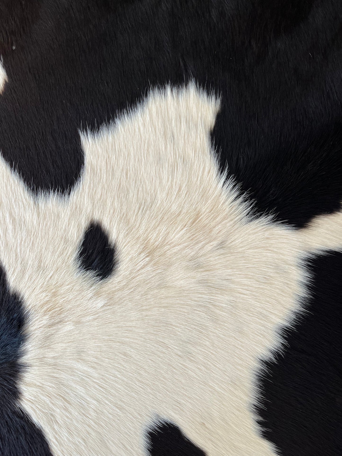 Beautiful Cowhide Rug