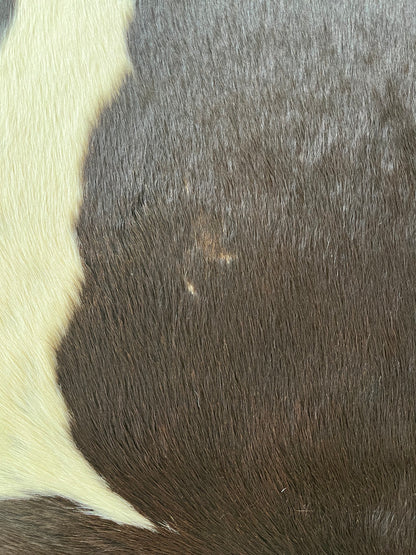 Beautiful Cowhide Rug