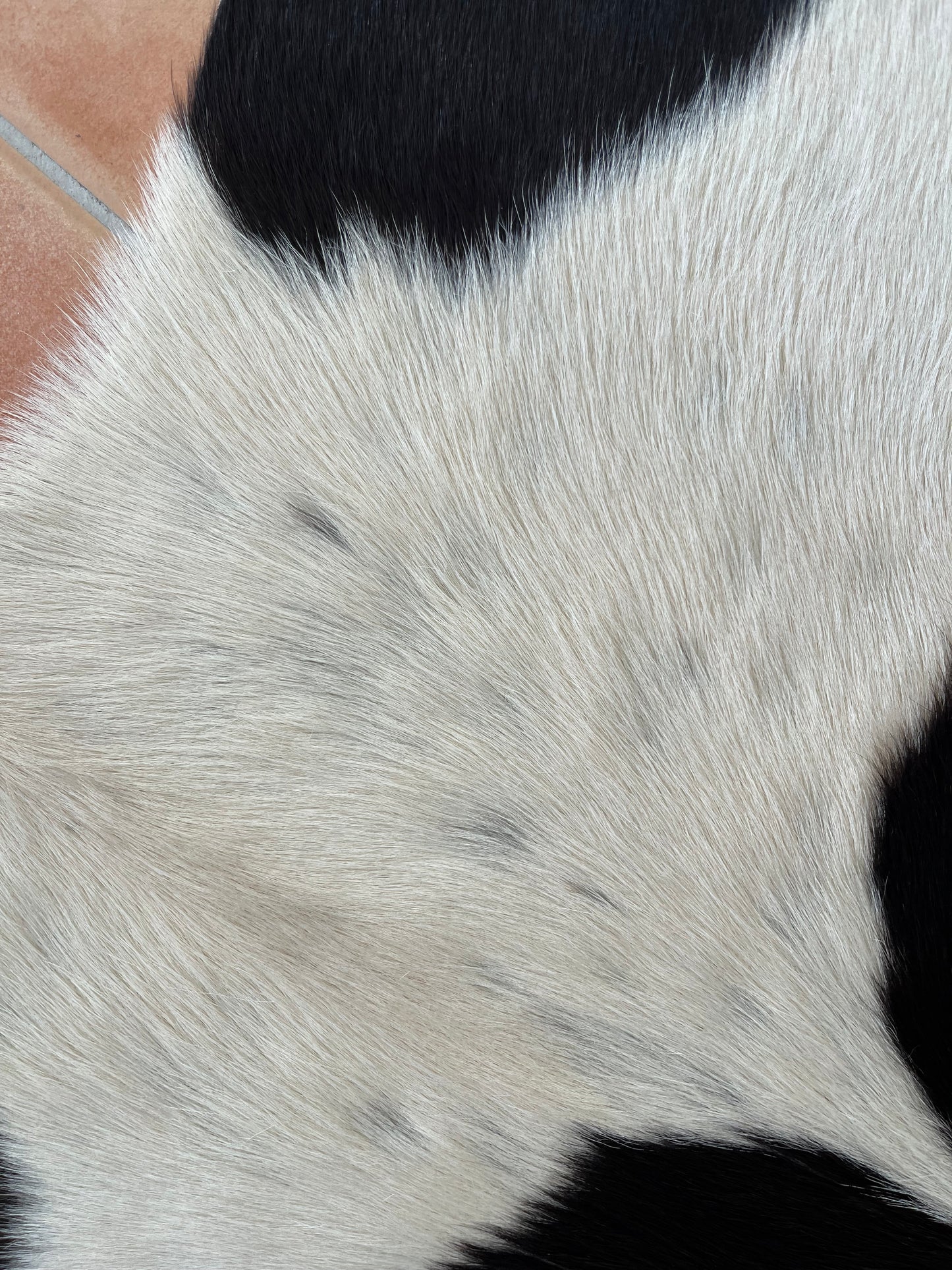 Beautiful Cowhide Rug