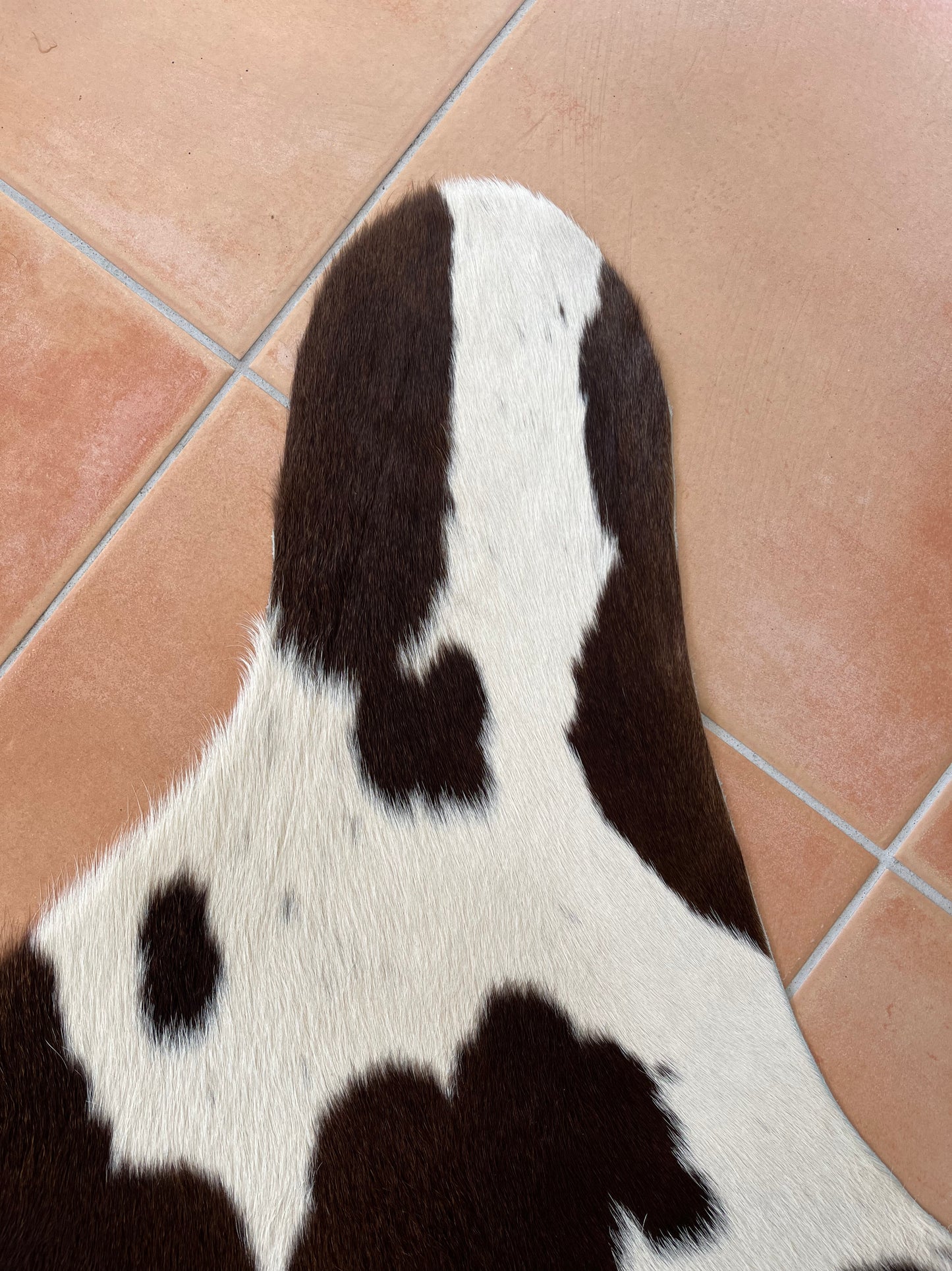 Beautiful Cowhide Rug