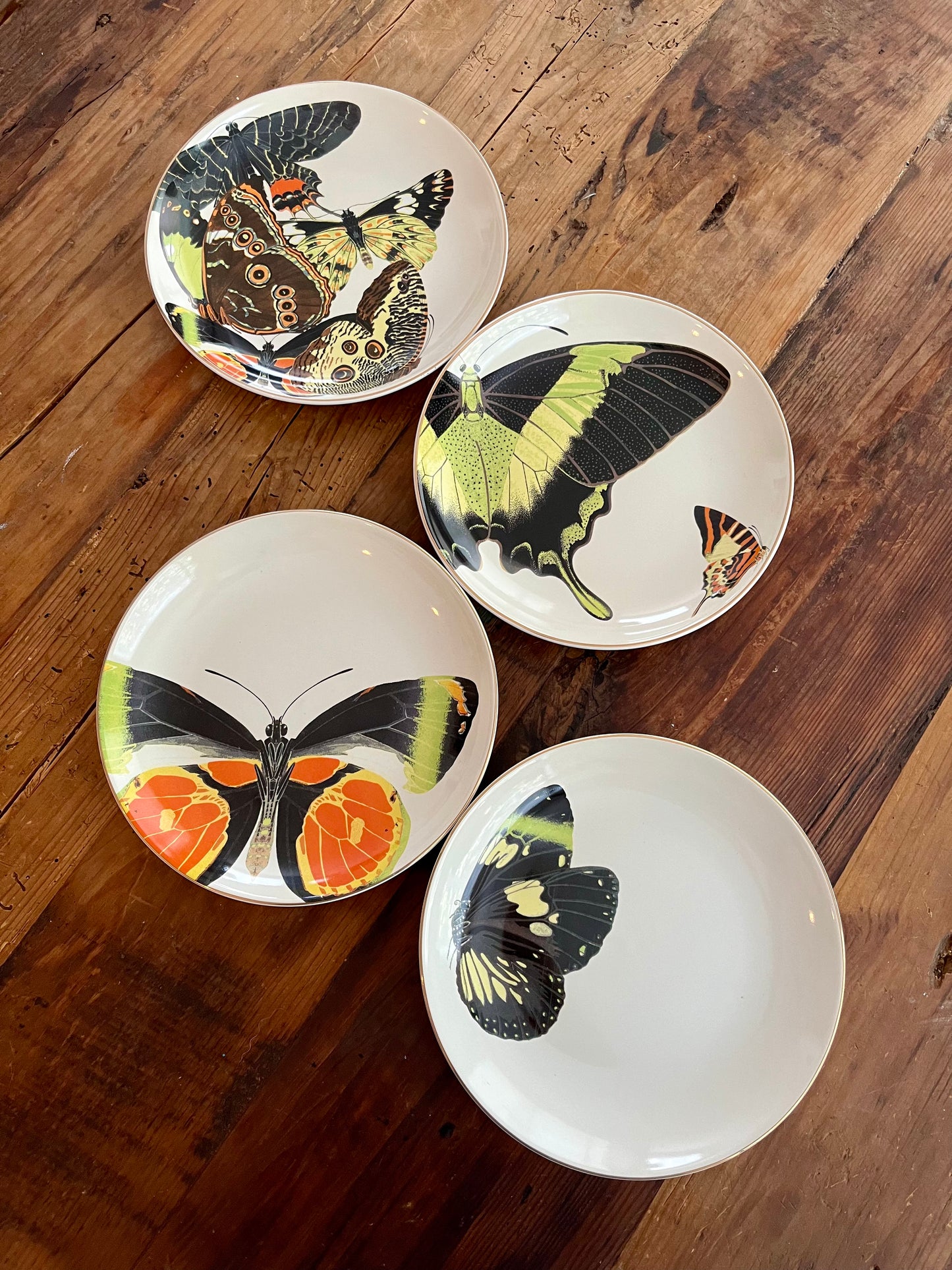A Set of Four D.L & Co Butterfly Plates