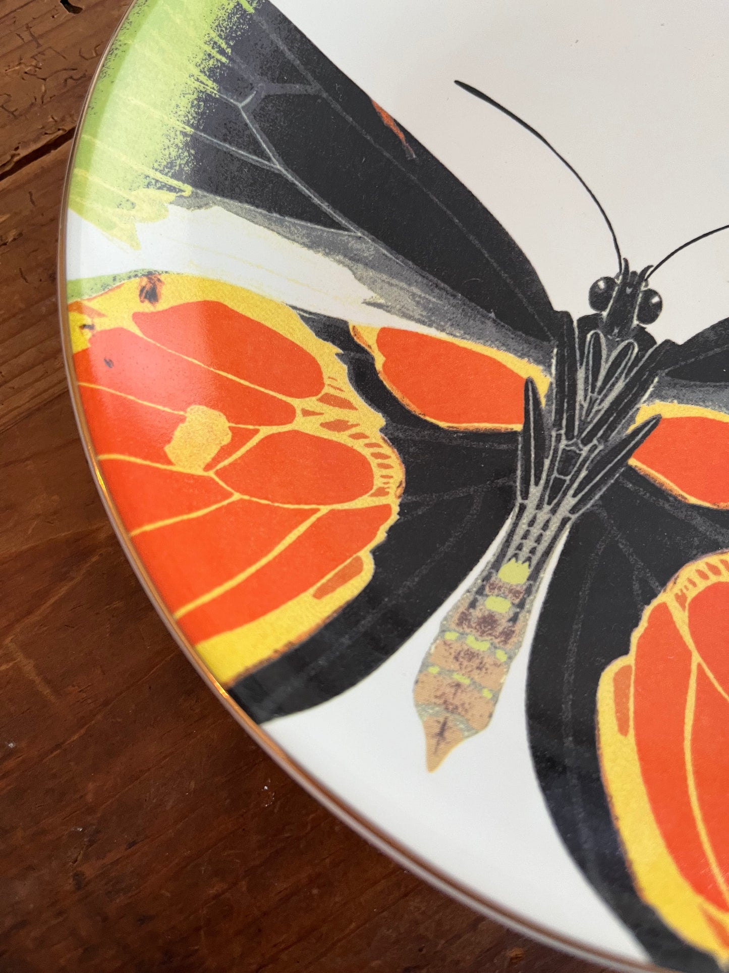 A Set of Four D.L & Co Butterfly Plates