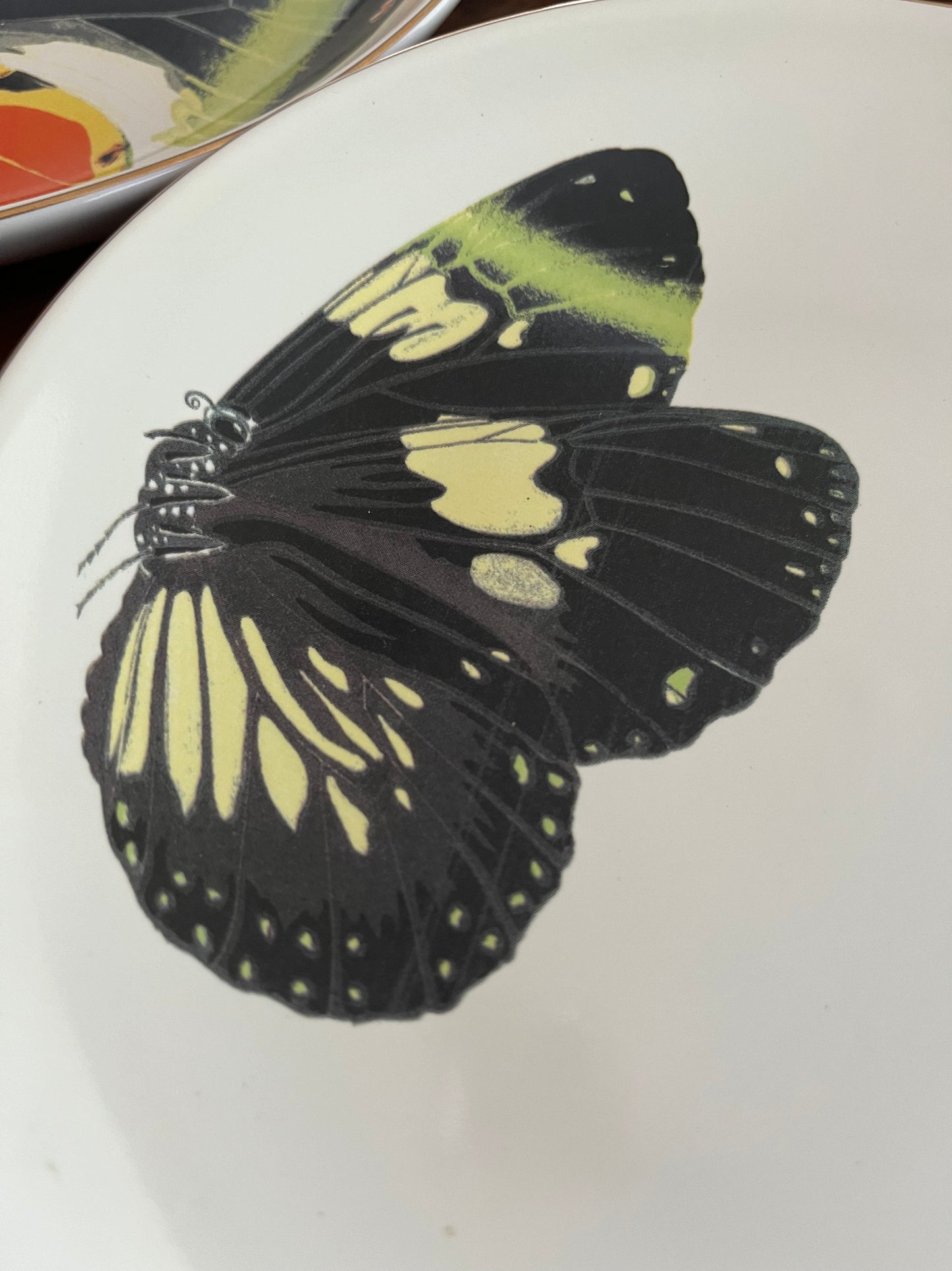 A Set of Four D.L & Co Butterfly Plates