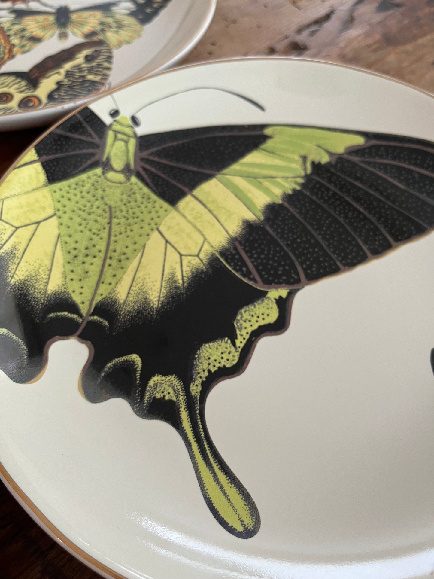 A Set of Four D.L & Co Butterfly Plates