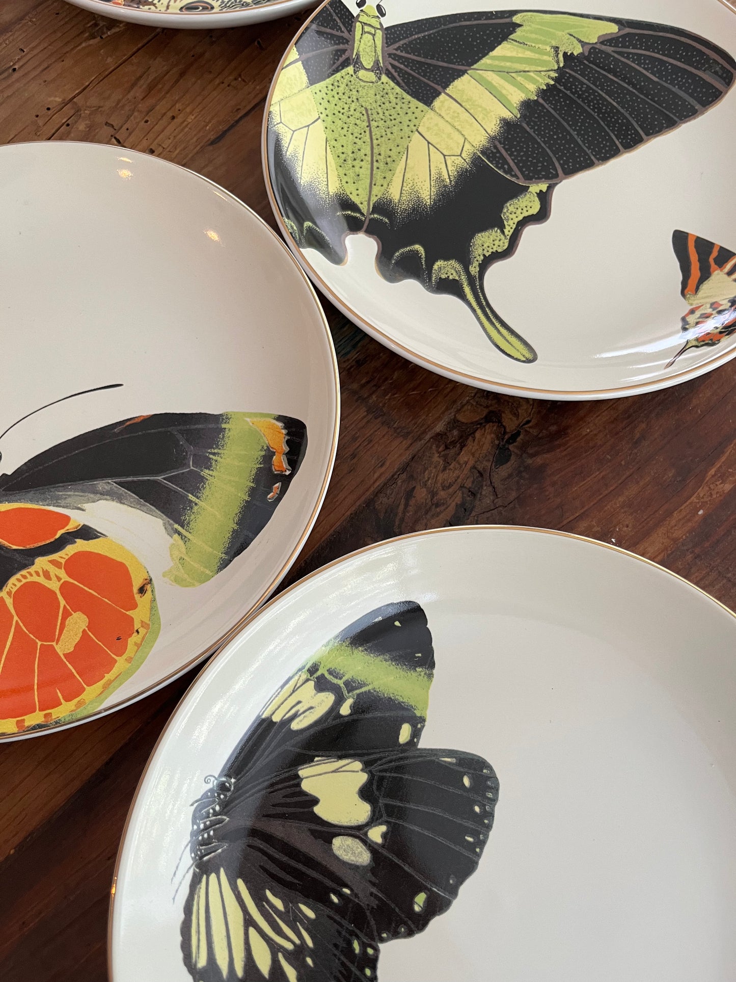 A Set of Four D.L & Co Butterfly Plates
