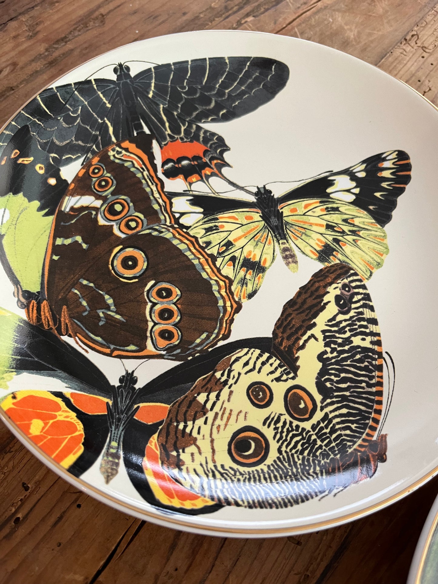A Set of Four D.L & Co Butterfly Plates