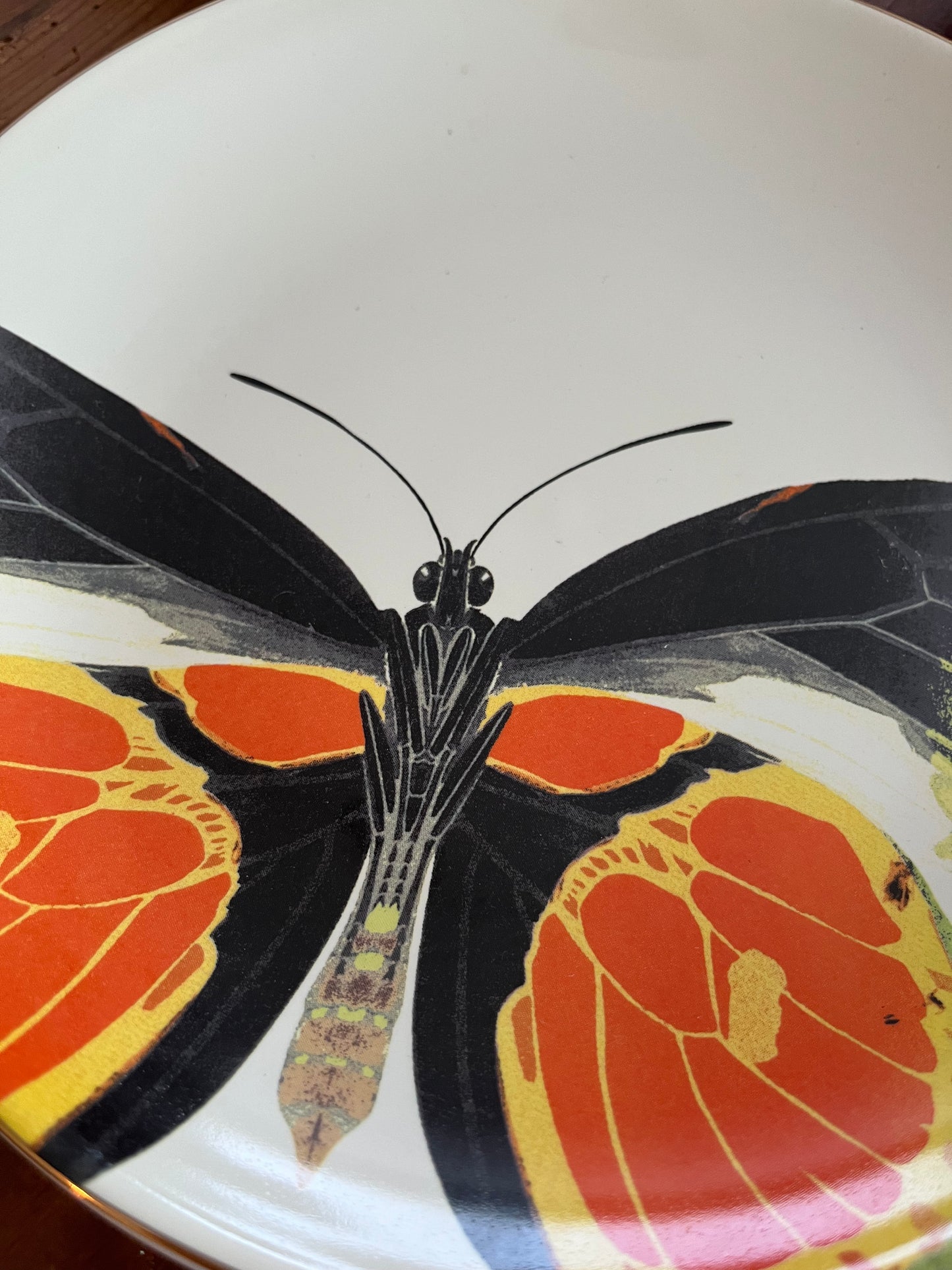 A Set of Four D.L & Co Butterfly Plates