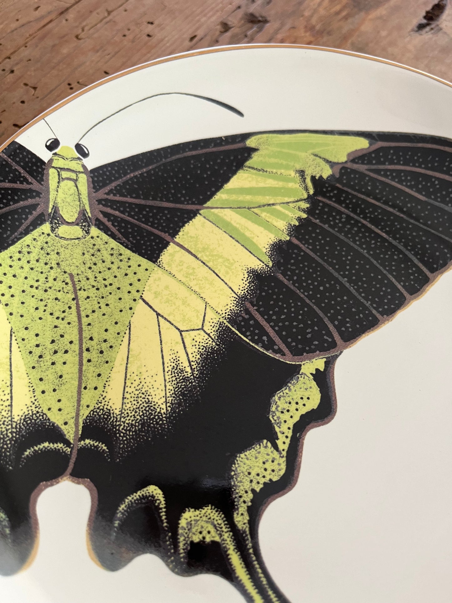 A Set of Four D.L & Co Butterfly Plates