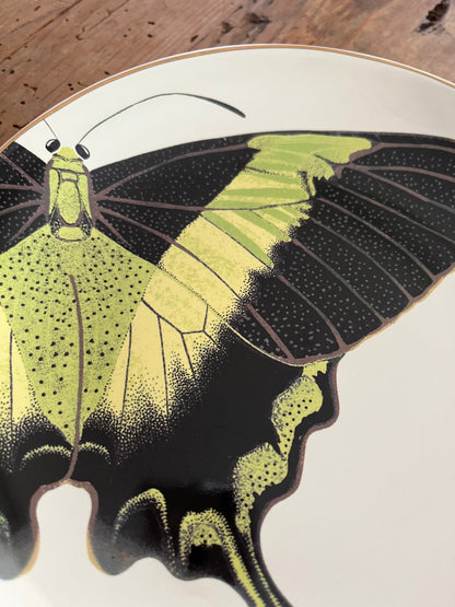 A Set of Four D.L & Co Butterfly Plates