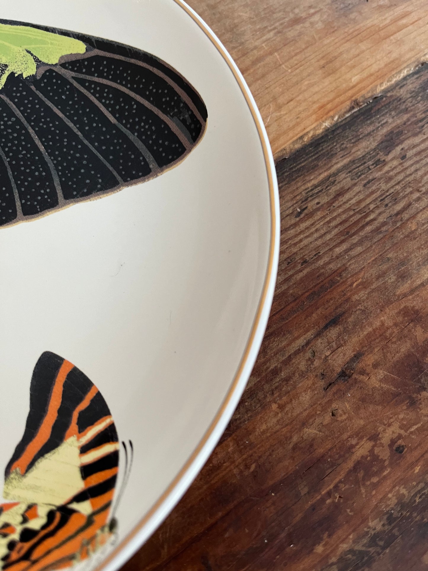 A Set of Four D.L & Co Butterfly Plates