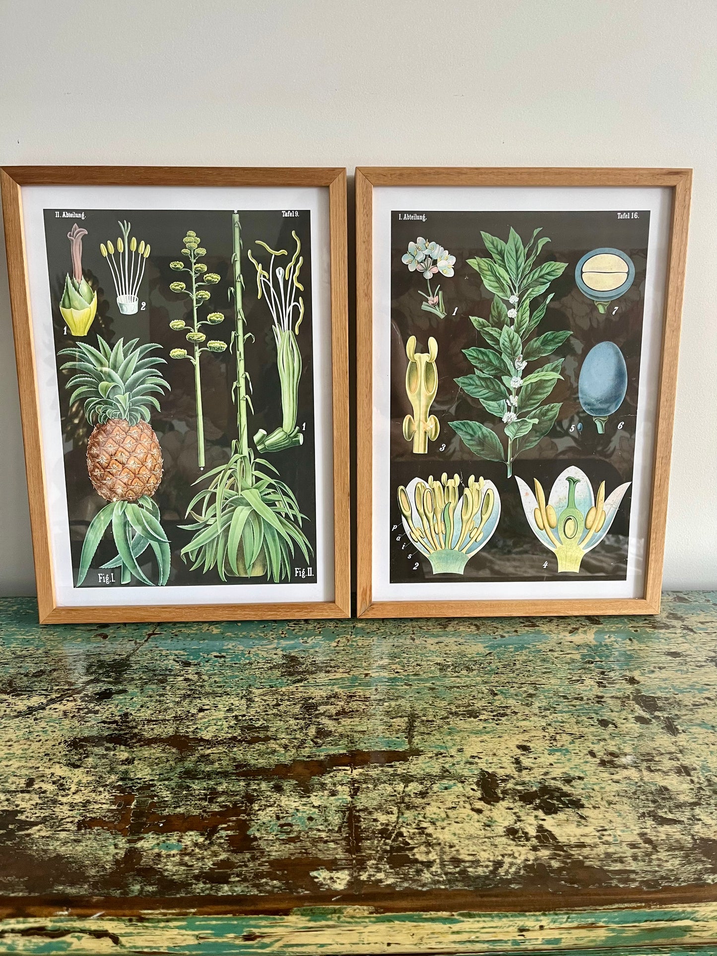 Gorgeous Pair of Framed Botanical Prints