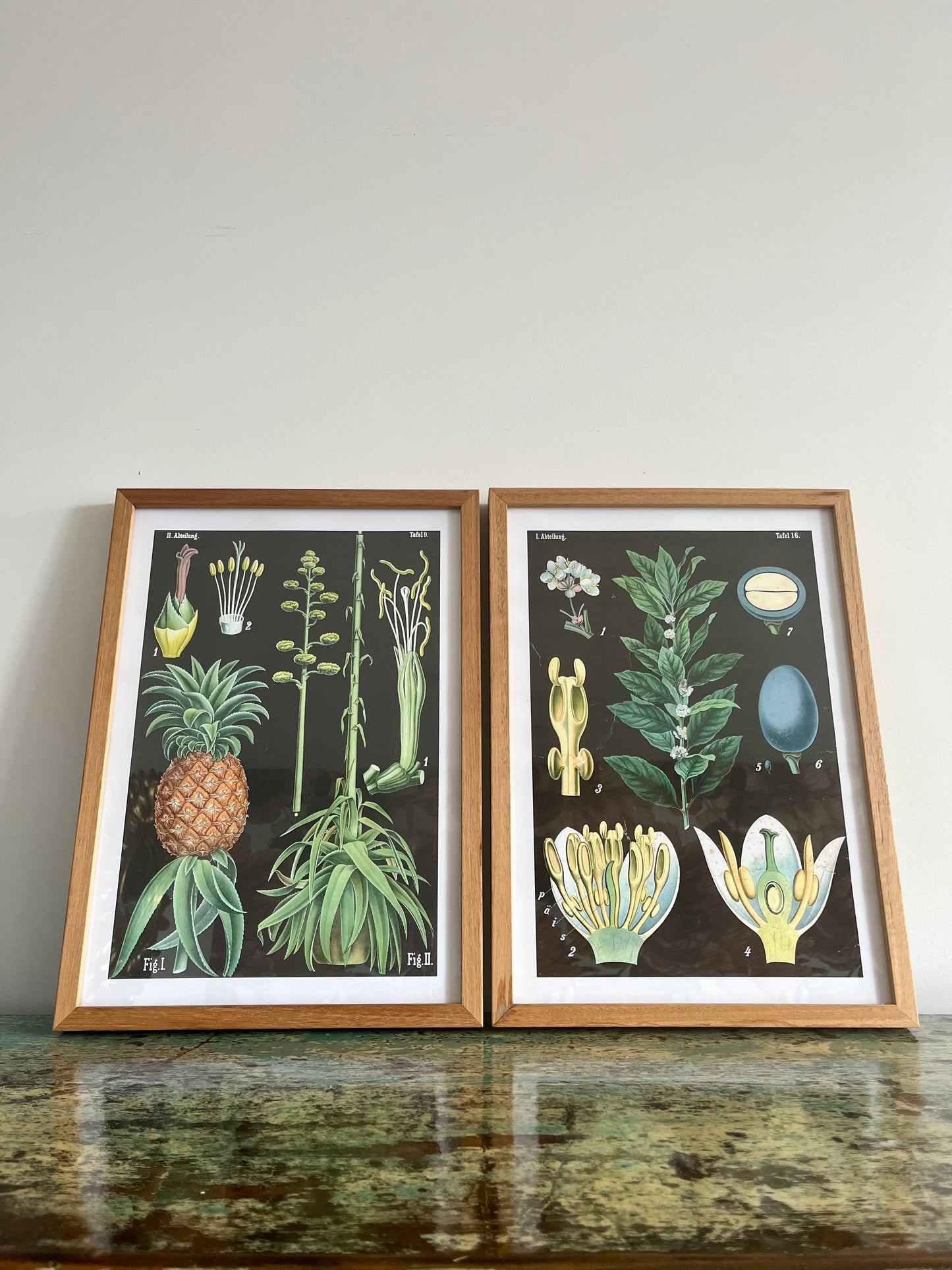 Gorgeous Pair of Framed Botanical Prints