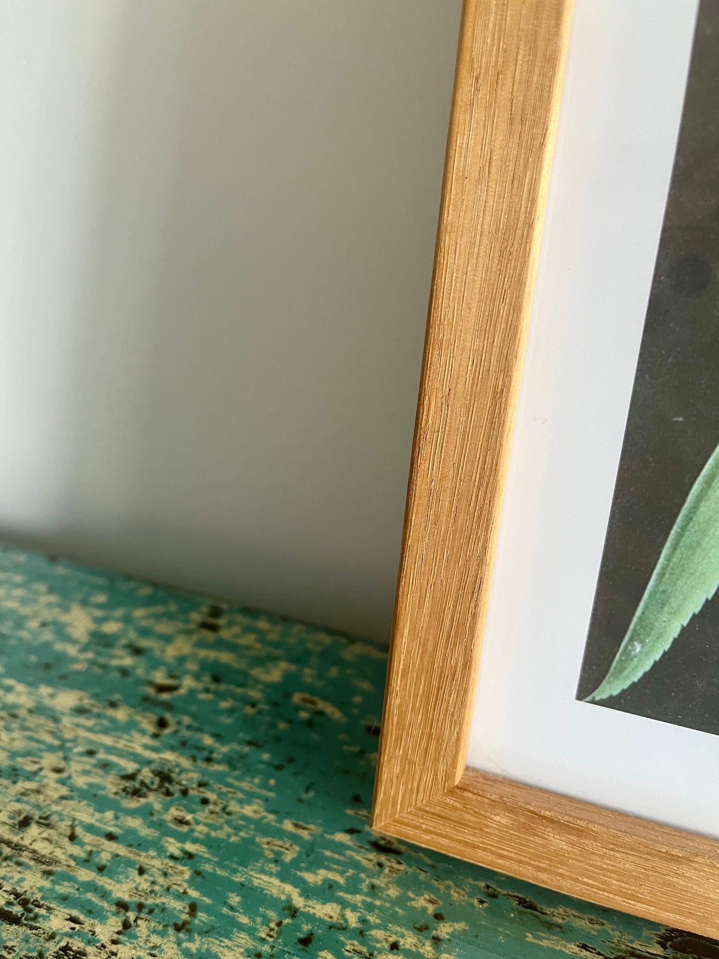 Gorgeous Pair of Framed Botanical Prints