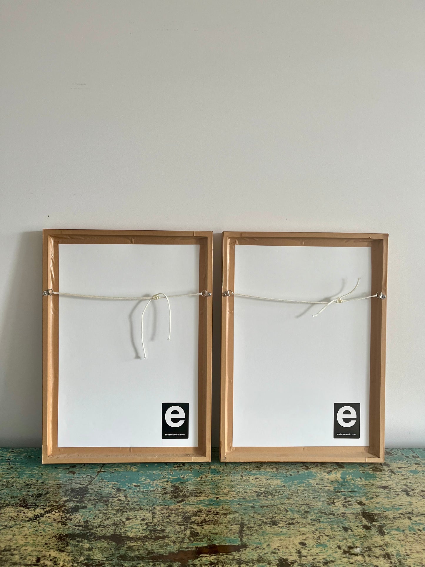 Gorgeous Pair of Framed Botanical Prints