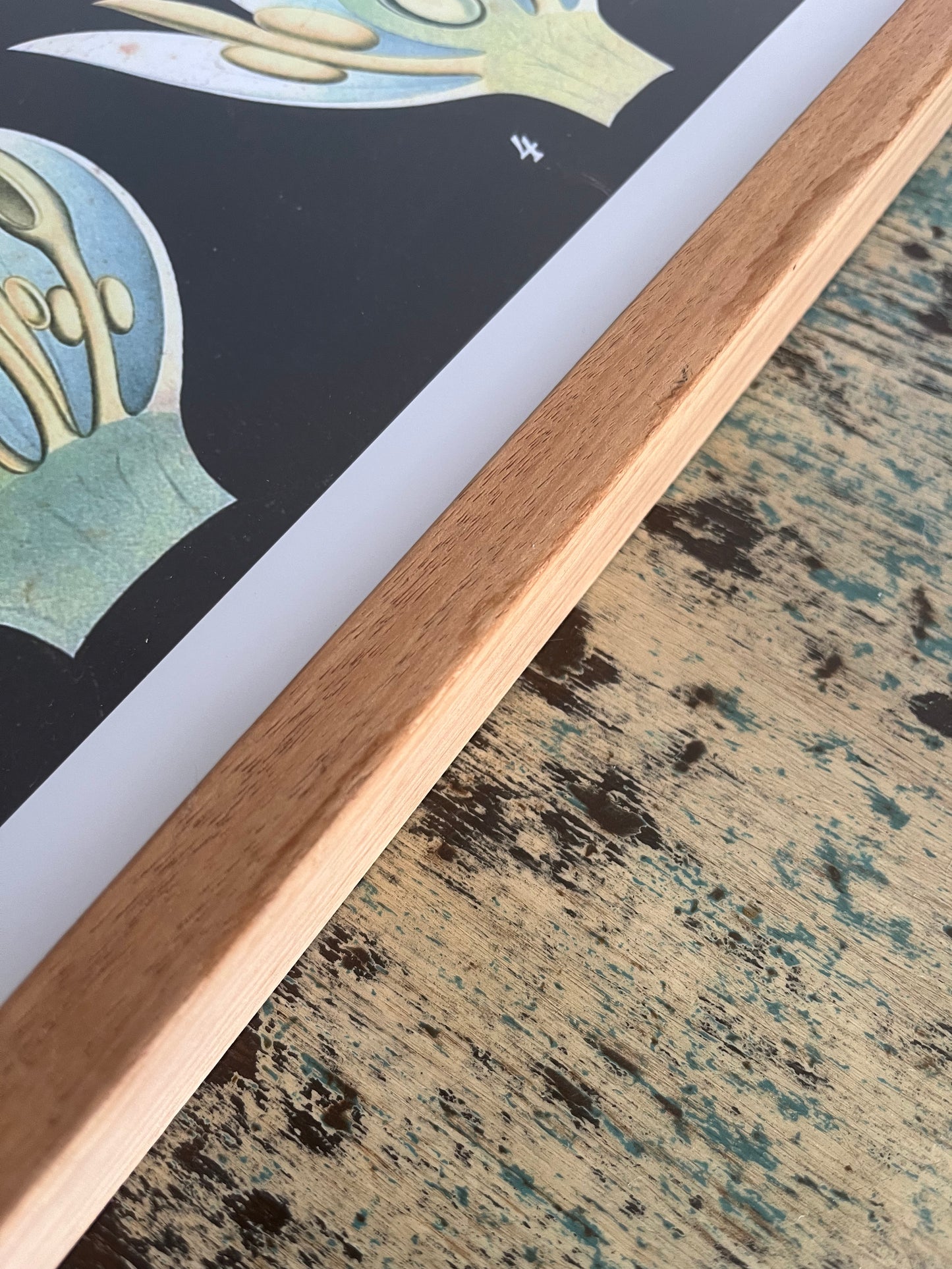 Gorgeous Pair of Framed Botanical Prints