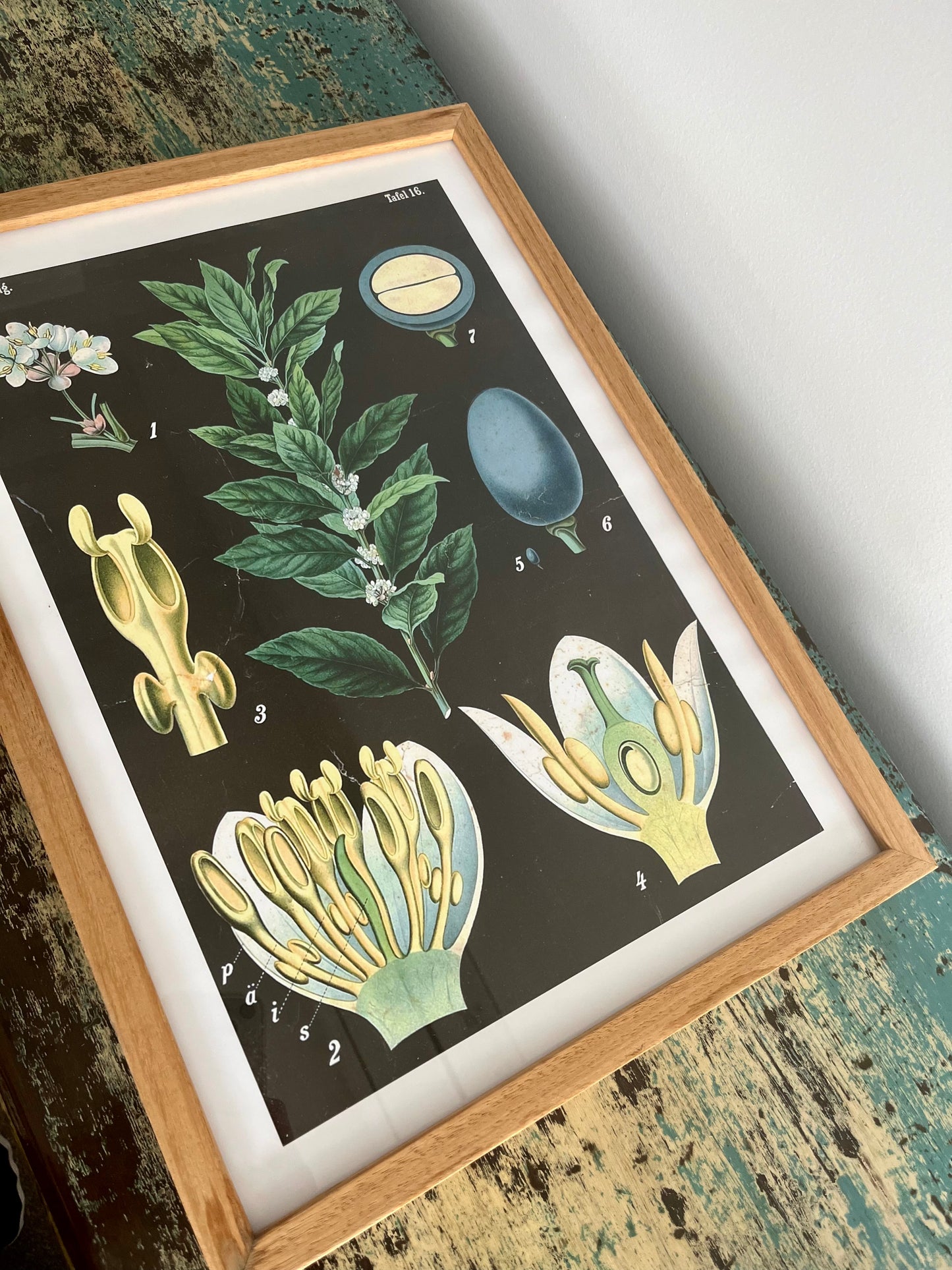 Gorgeous Pair of Framed Botanical Prints