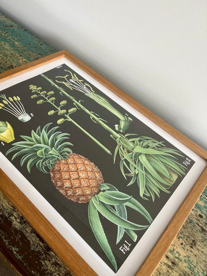 Gorgeous Pair of Framed Botanical Prints
