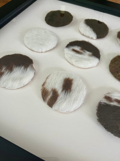 Lovely Framed Cowhide Art