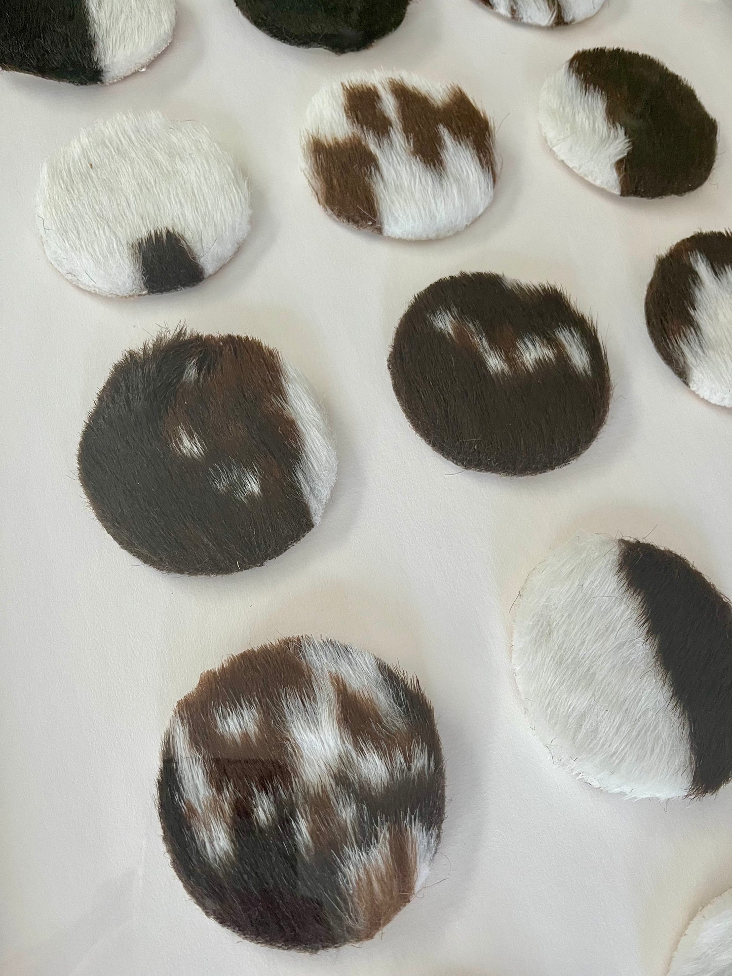 Lovely Framed Cowhide Art