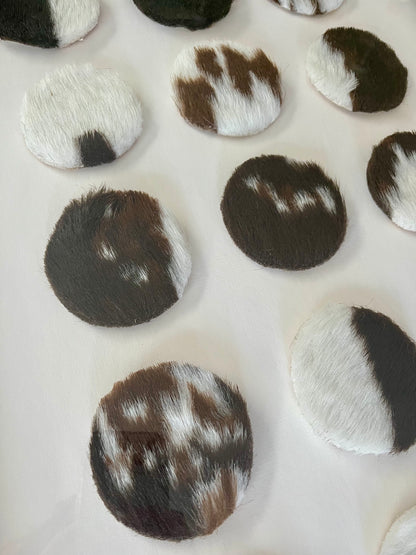 Lovely Framed Cowhide Art