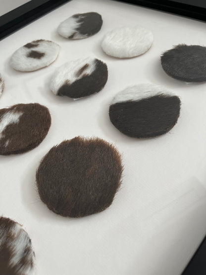 Lovely Framed Cowhide Art