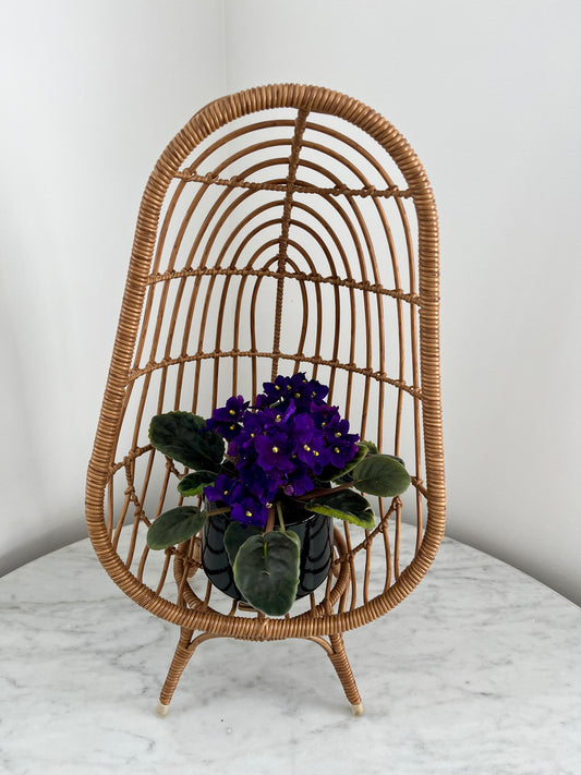 Funky Mini Egg Chair Plant Stand