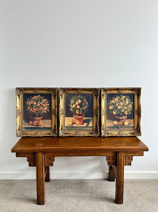 Beautiful Trio of French Canvas Gold Framed Prints
