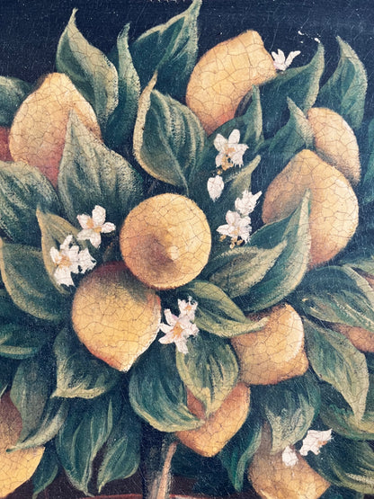 Beautiful Trio of French Canvas Gold Framed Prints