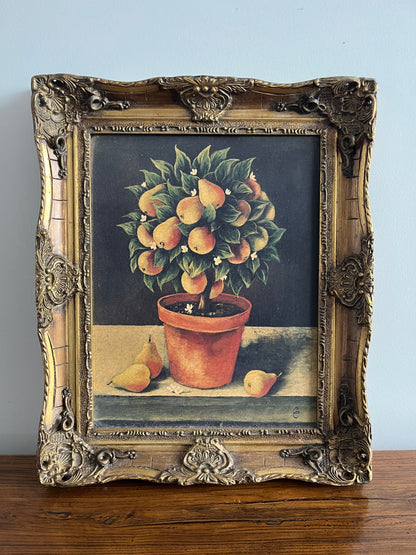 Beautiful Trio of French Canvas Gold Framed Prints