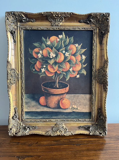 Beautiful Trio of French Canvas Gold Framed Prints