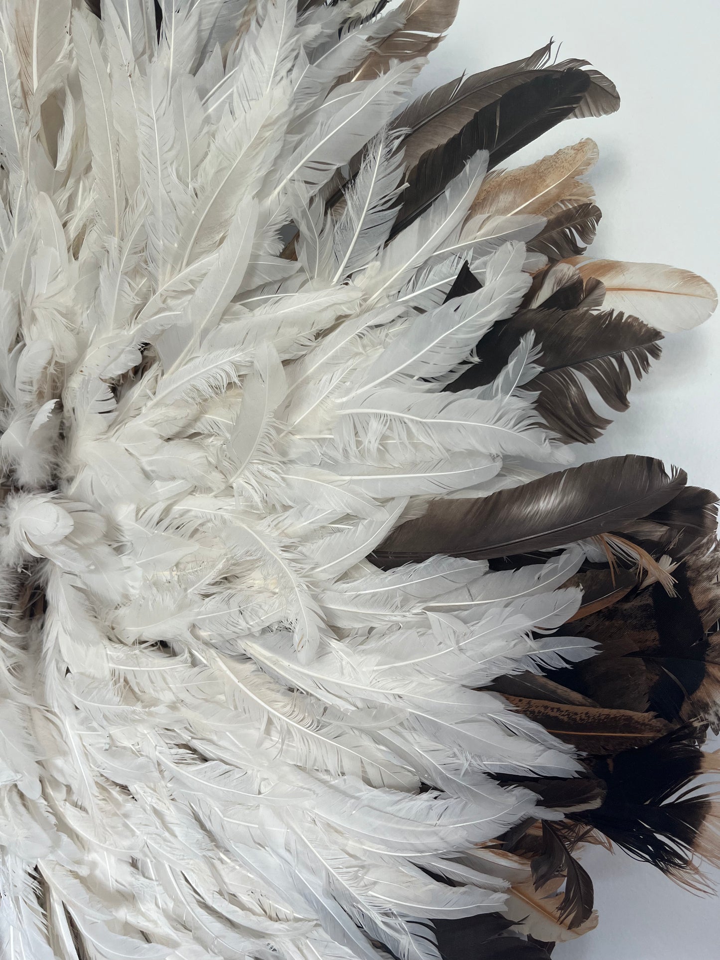 Stunning Juju Hat