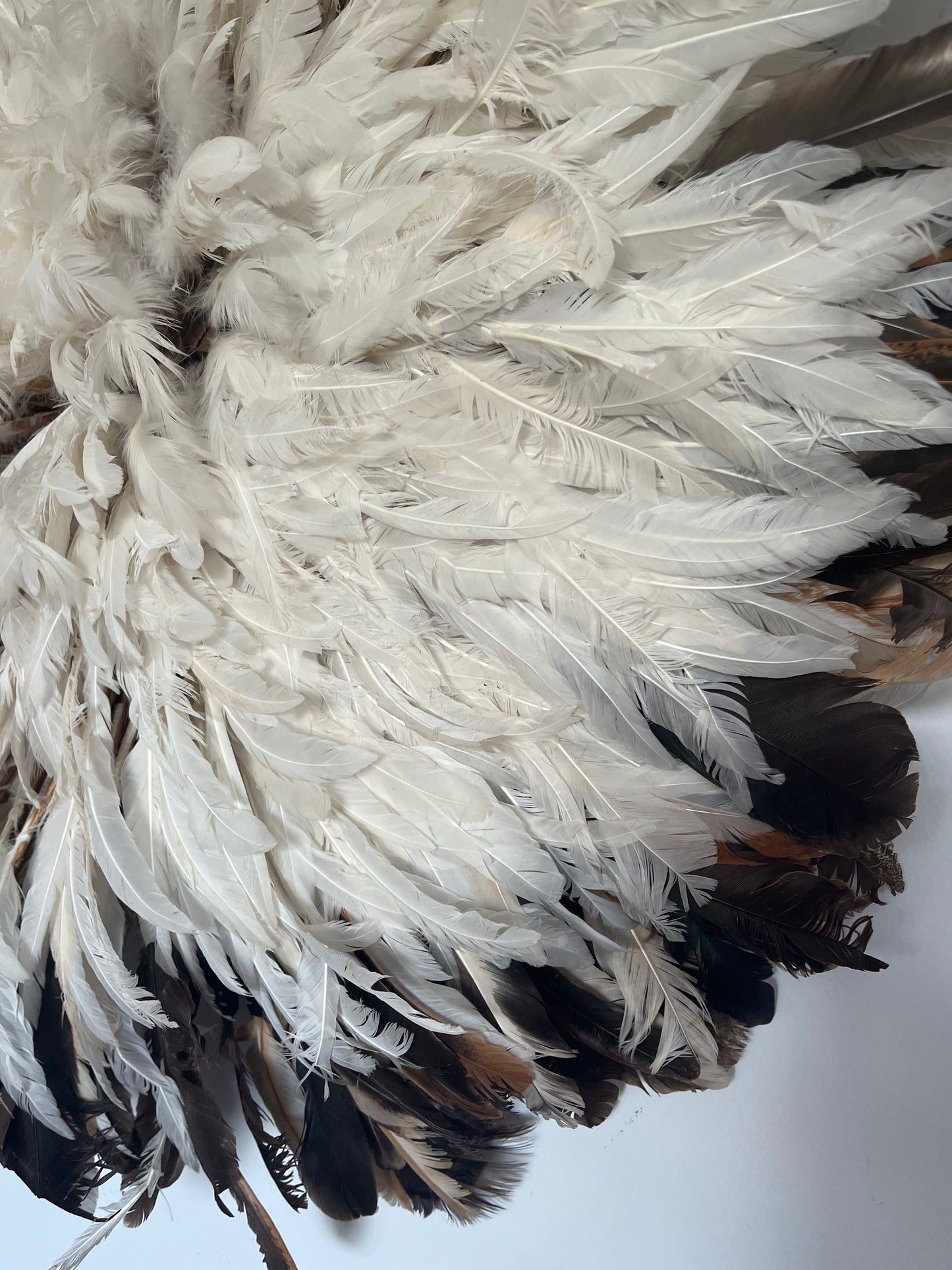 Stunning Juju Hat