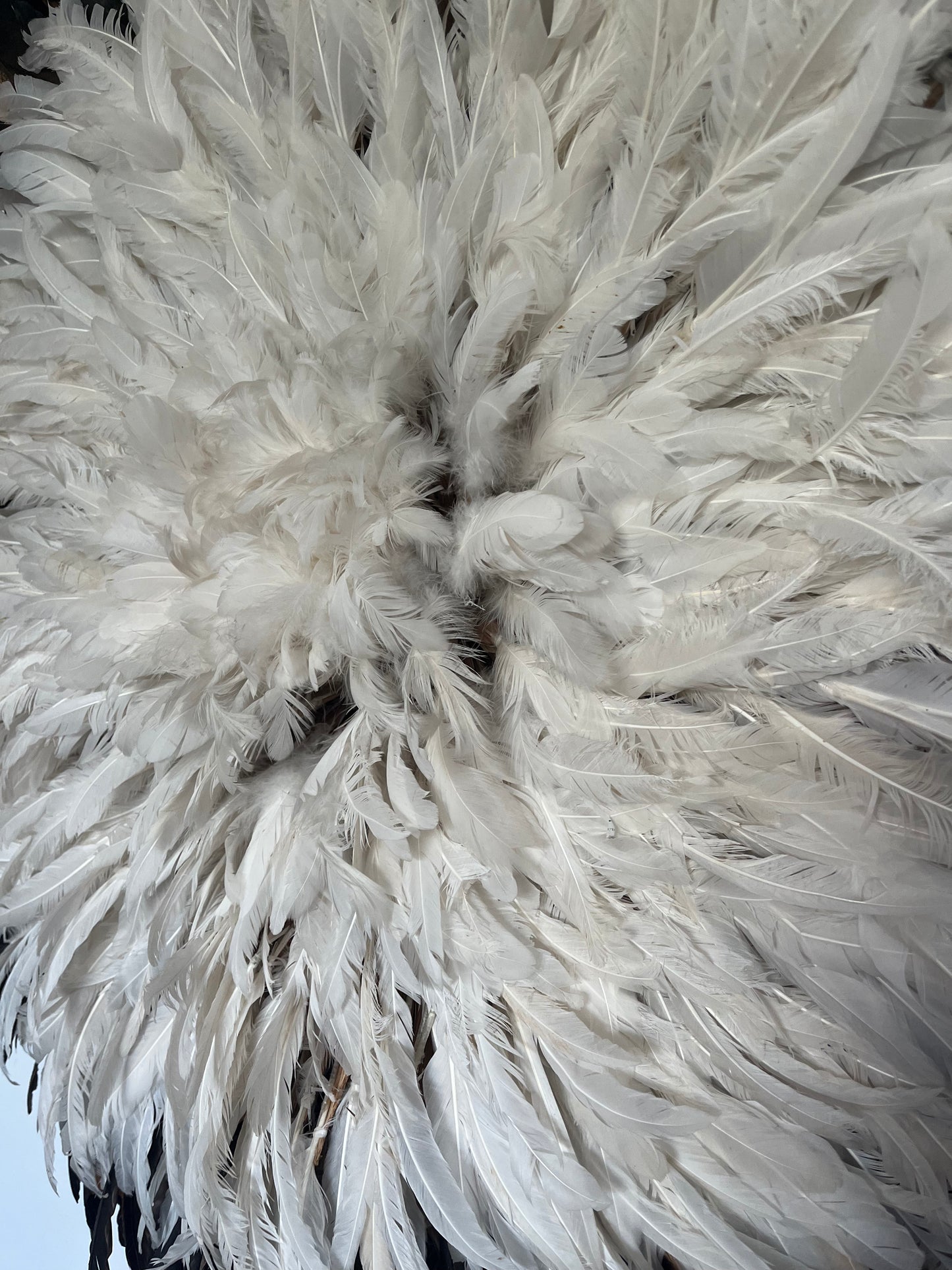Stunning Juju Hat