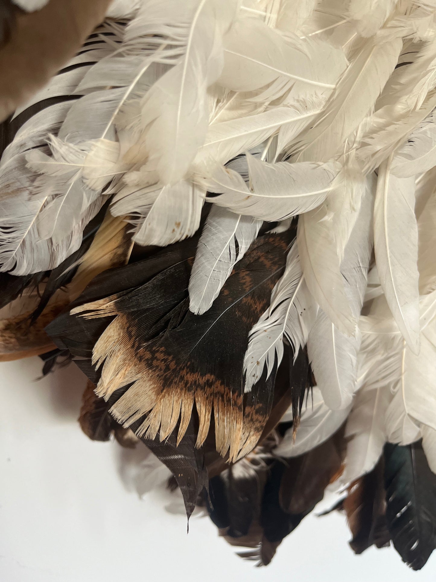 Stunning Juju Hat