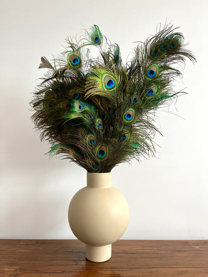Lovely Lantern Vase with Peacock Feathers