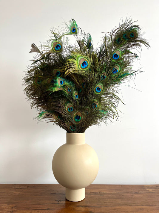 Lovely Lantern Vase with Peacock Feathers
