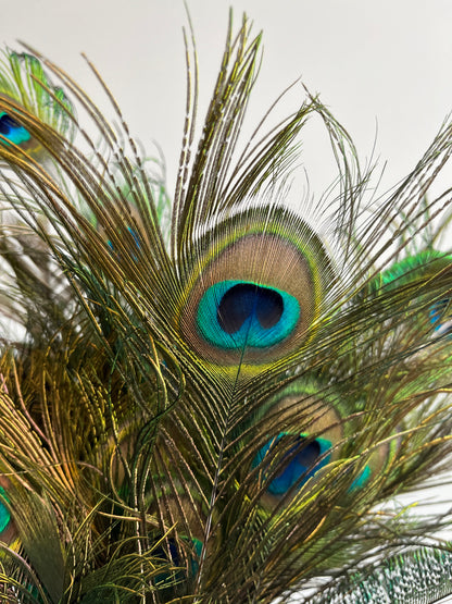 Lovely Lantern Vase with Peacock Feathers