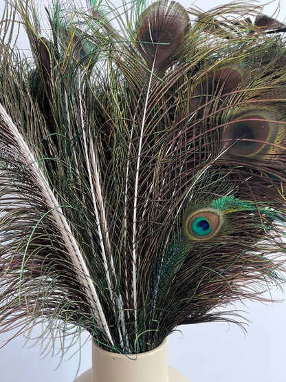 Lovely Lantern Vase with Peacock Feathers