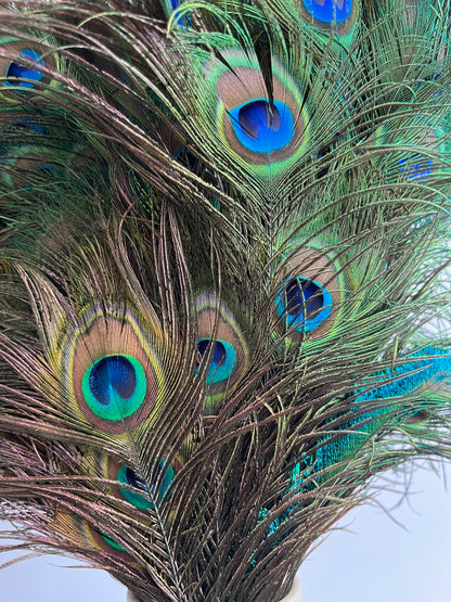 Lovely Lantern Vase with Peacock Feathers
